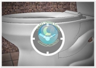 Lý do không được đổ nước xà phòng giặt vào bồn cầu