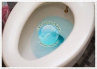 Pittong cao su thông tắc bồn cầu giá bao nhiêu?