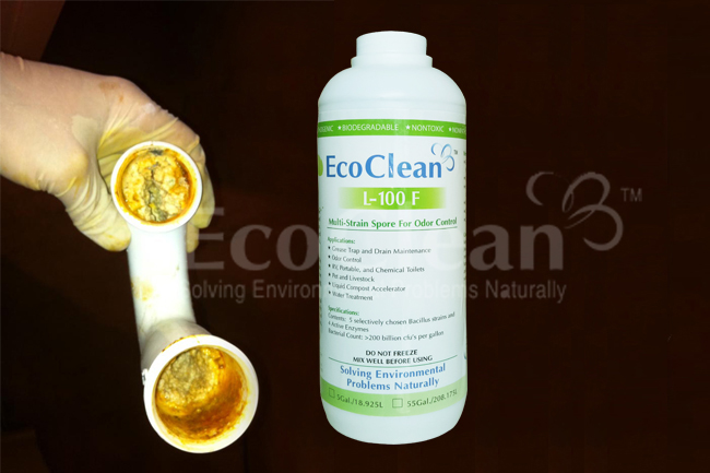 c&aacute;ch khử m&ugrave;i h&ocirc;i cống trong nh&agrave; vệ sinh chung cư