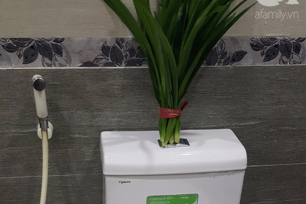 những Cách khử mùi hôi bồn cầu