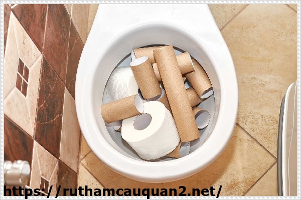 Giấy vệ sinh g&acirc;y tắc nghẽn bồn cầu